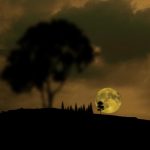 In Photos: Century's Longest Lunar Eclipse - About Islam