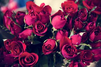 Can I Marry a Shiite Girl?