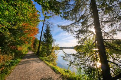 Seeking The Guide Understanding Allah's Name Al-Hadi