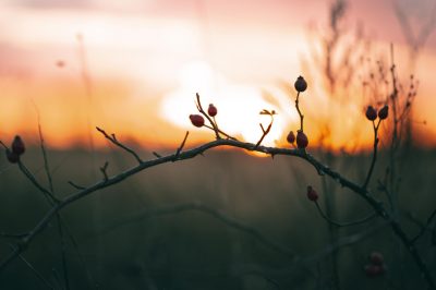 Befriending Persons From the Opposite Sex: Permissible?