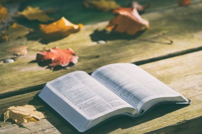 Why Didn&rsquo;t God Preserve The Previous Divine Books