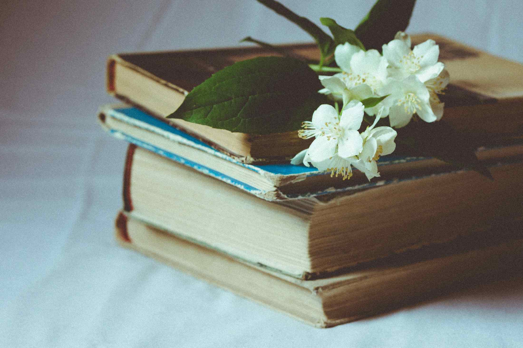 Dr. Brown on Verifying and Understanding Hadith (Tips & Examples)