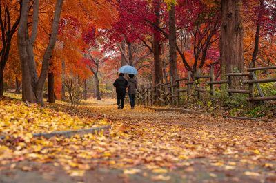 Walking in Humility - humildad