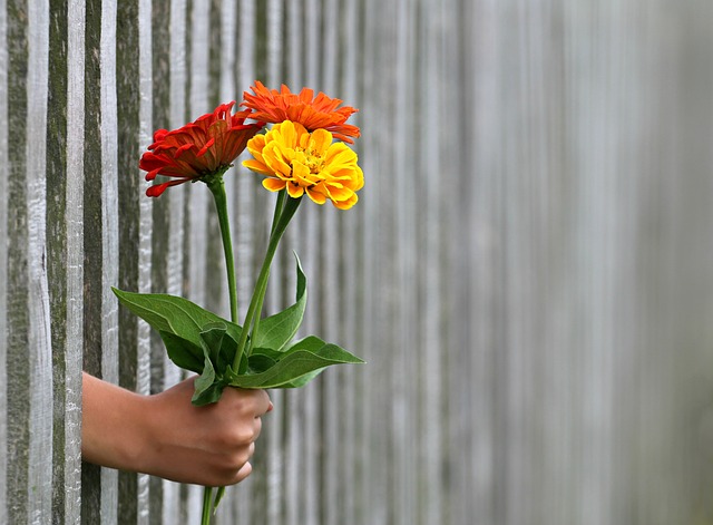 How Do I Heal From Emotional Harm and Public Exposure by Someone I Liked?