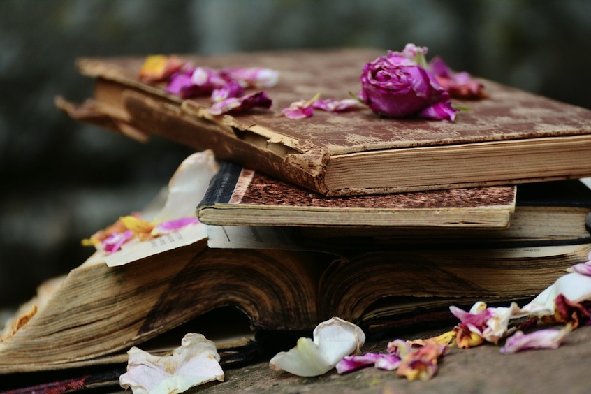 2 Young Women Scholars Around the Prophet Muhammad