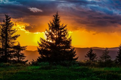I Wanted to Bring a Friend to Christianity, Allah Guided Me to Him