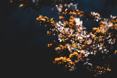 Relevance Before Preaching: The Meccan Prophet (PBUH)