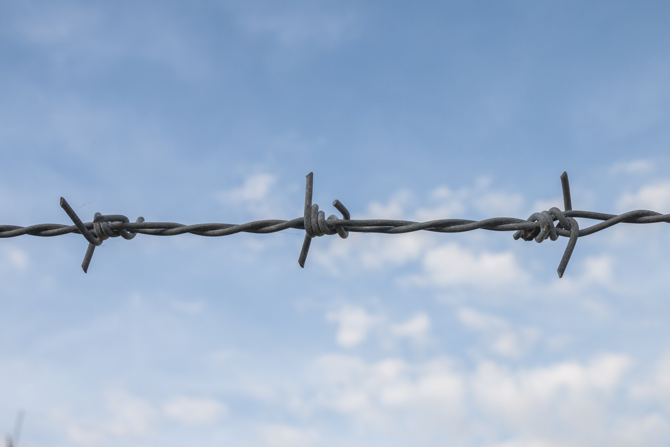 4 Things Helped Early Muslims Withstand Persecution in Makkah