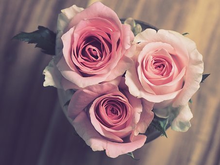 Four Wives for Muslims, Nine for the Prophet: Why?