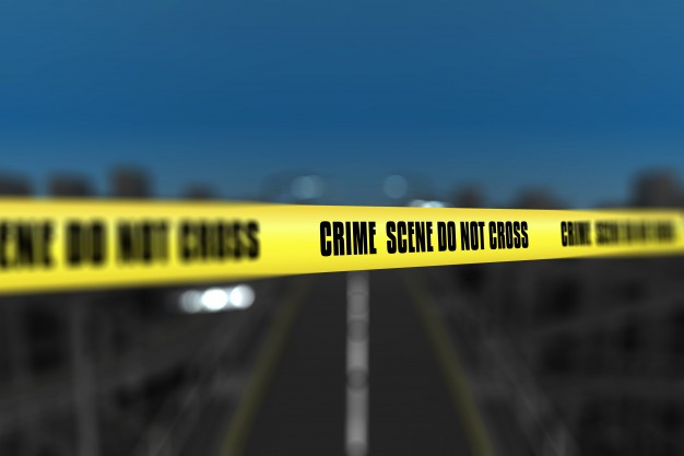 An Anatomy of Murder