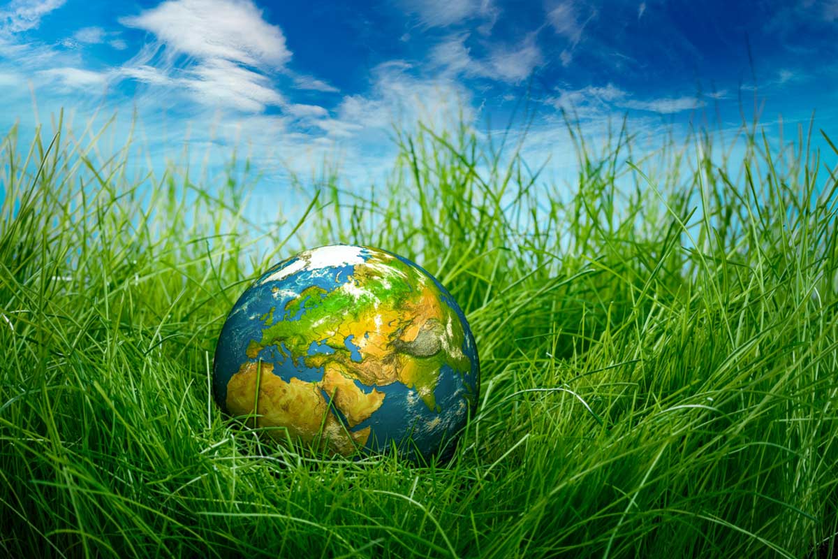 What Does Islam Offer the Environment?