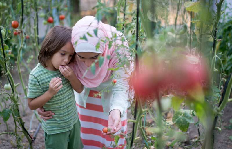 7 Simple Ways to Earn Continual Rewards from Charity - Sadaqah Jariyah