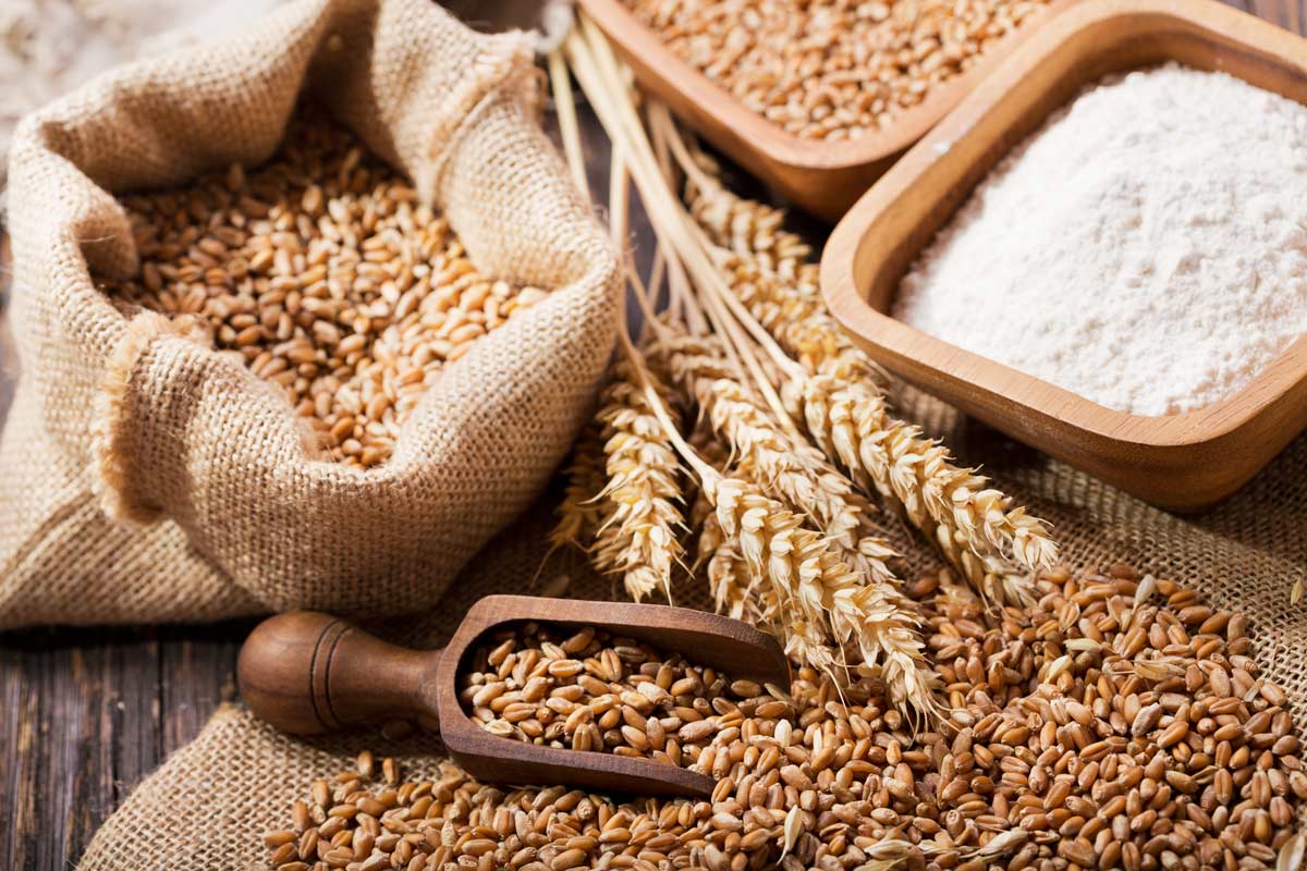 What Is the Difference between Zakat al-Fitr and Zakat al-Mal?