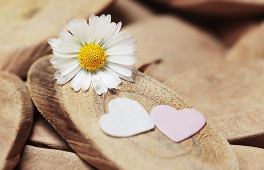 This Ramadan Learn How to Win Allah's Love?