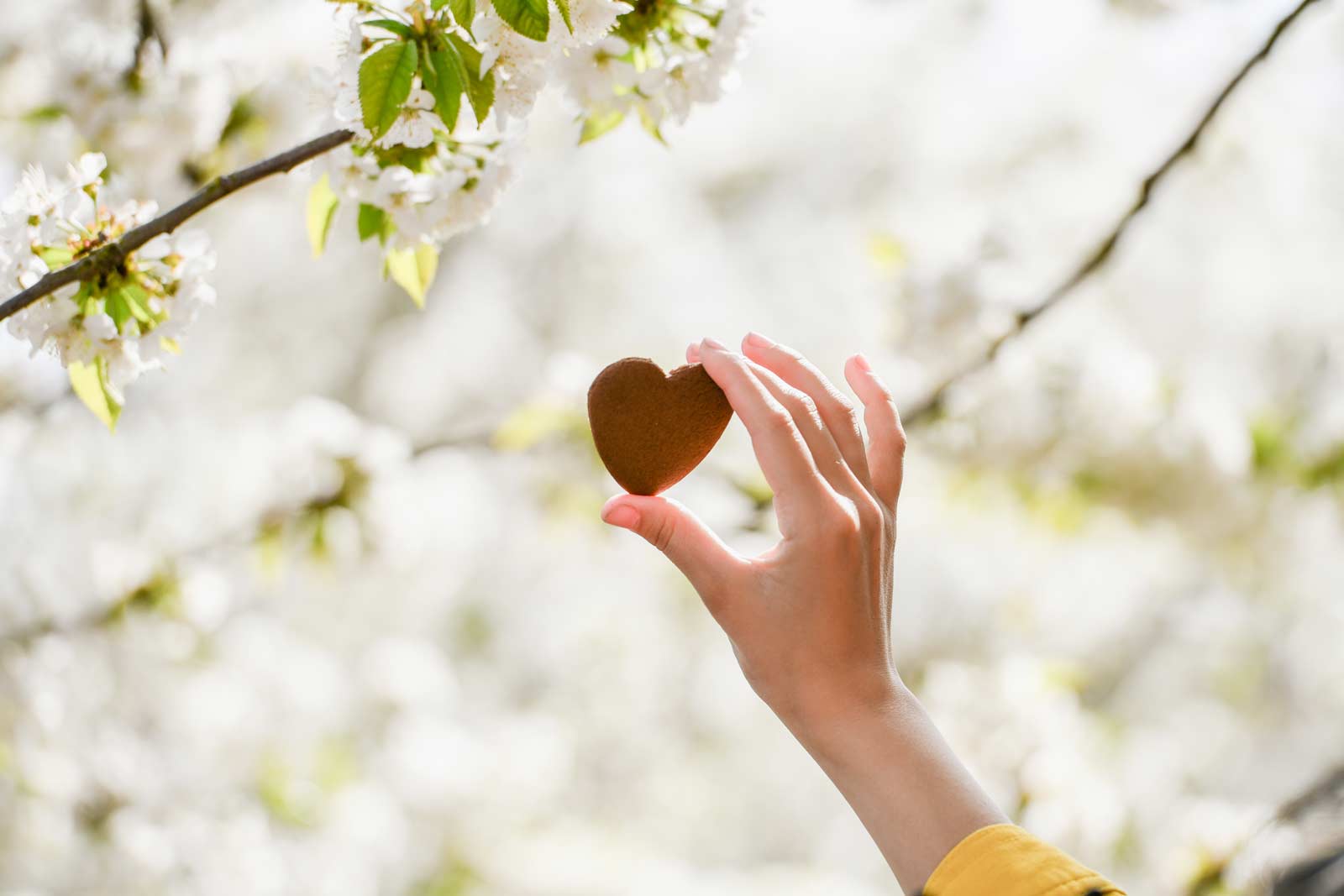 When the Heart is Clean, Something Amazing Happens!