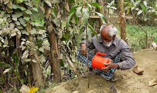 Planting Trees