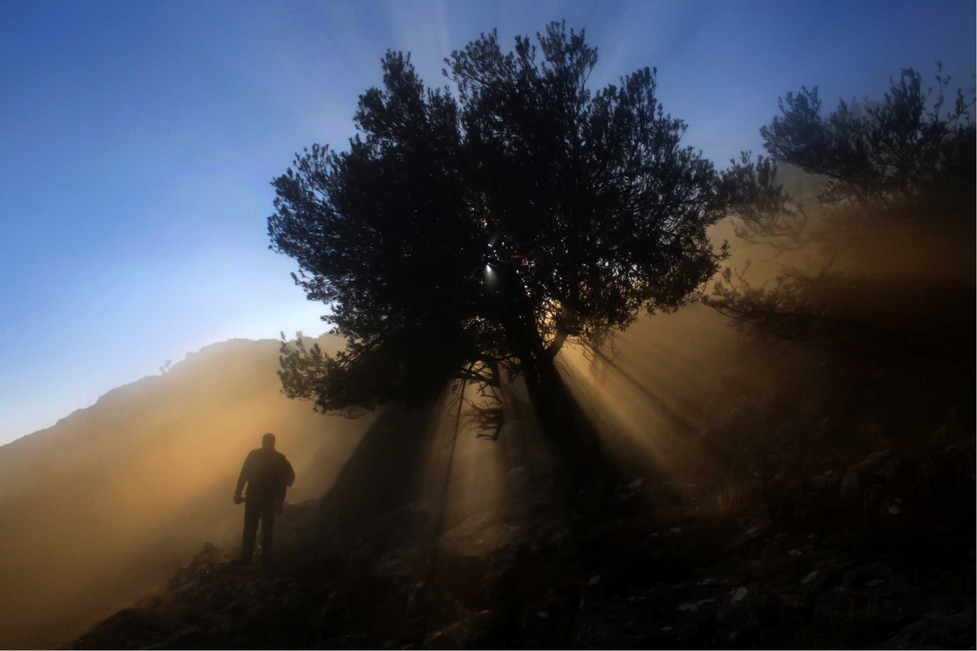 4 Authentic Hadiths About The Mahdi