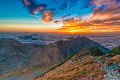 The Path to the Light Healthy Hearts
