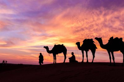Umm Salamah: Story of an Immigrant Family