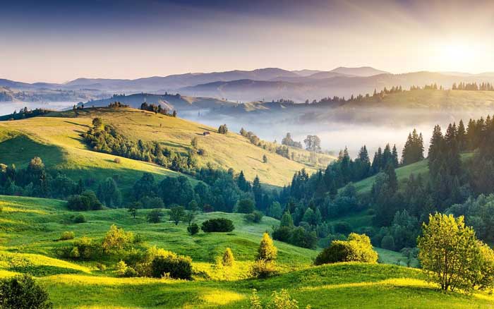 Allah is Al-Hafidh: The Preserver and Protector of Everything - About Islam
