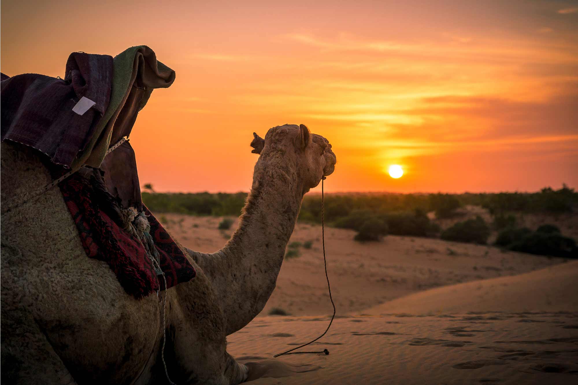 Prophet Muhammad Prepares to Move to Madinah