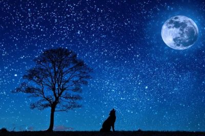 Rajab: Change Your Life With 7 Spiritual Habits - About Islam