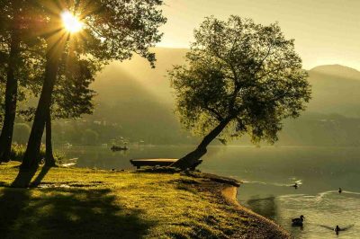 How the Prophet Expressed Gratitude to Allah