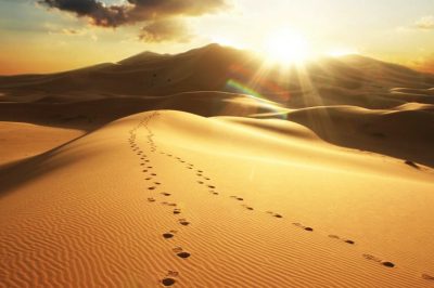 Prophet Muhammad Joins Muslim Refugees in Madinah