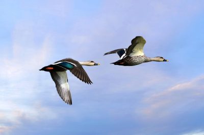 Understanding Ar Razzaq & Ar Raziq &ndash; The Provider & The Sustainer