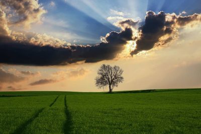 Julaybib: Hope for Desperate Souls