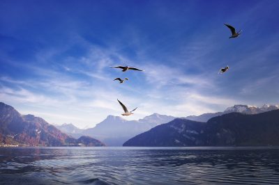 6 Steps to Get Spiritually Ready For Ramadan