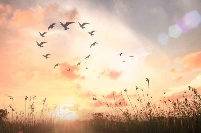 Hope in Times of Difficulty