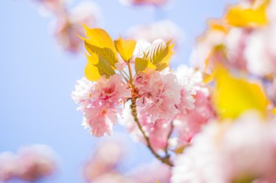 Struggling to Stay Hopeful? Read This