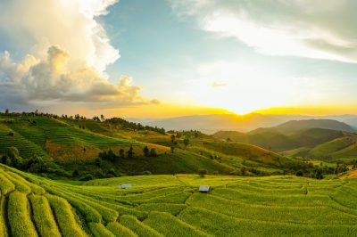 10 Green Hadiths... What Islam Says About Environment