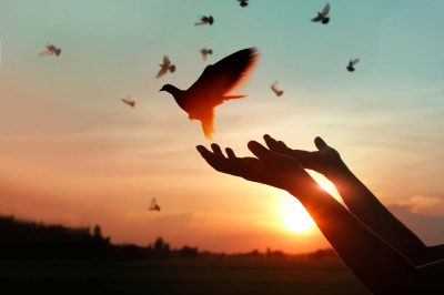 Woman praying and free bird enjoying