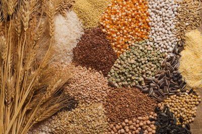 Zakat Al-Fitr: Lo Que Necesitas Saber