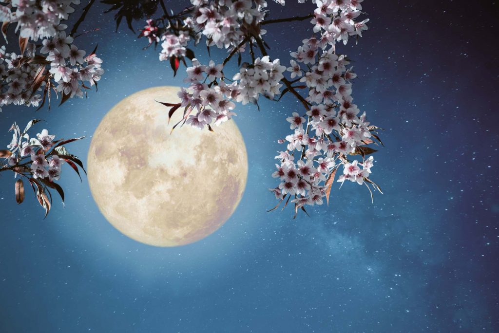 night skies with full moon