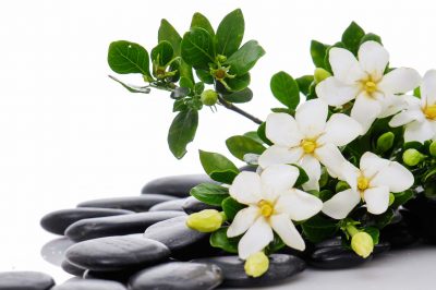Let's Talk Spiritual and Mental Well Being with Sr.Aisha
