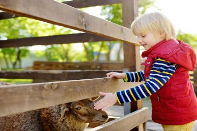 Should I Let My Children Attend Udhiyah?