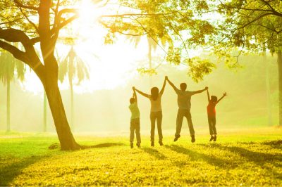 The Powerful Impact of Giving - Your Path to Happiness