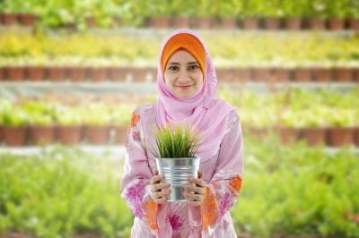 What Is Your Spiritual Approach to the Environmental Crisis?