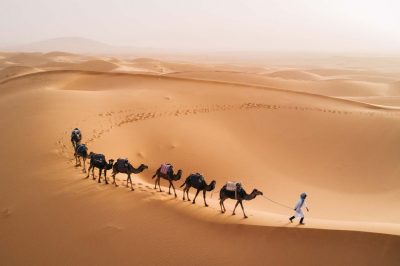 رحلة الهجرة ..تضافر وتضحيات حتى الوصول