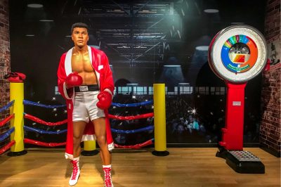 7 Great Muslim Male Athletes in Martial Arts
