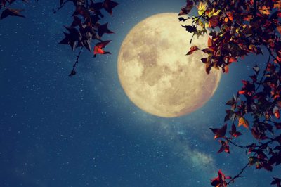 Khaled Siddiq – “The Moon” (Song)