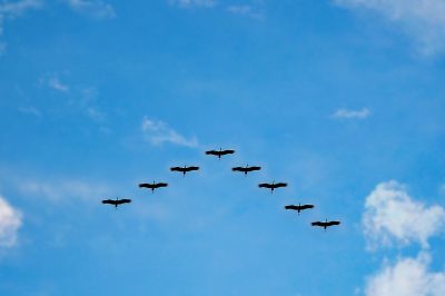 Learn From Remembering Hijrah Each Year