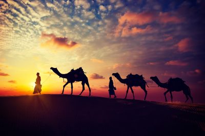 New Hijri Year 1442 (Special Collection)