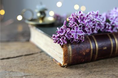Hafsa bint Sereen: A Teacher like No Other