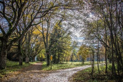 Los dos caminos del hombre