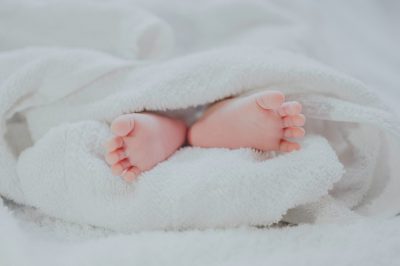 الحديث الرابع من الأربعين النووية.. خلق الإنسان