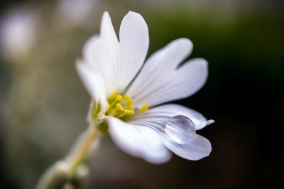 Reverts Share Tips on Growing Spiritually